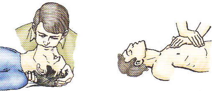 ПДД Онлайн на сайте автошколы «СТАРТ»