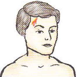 ПДД Онлайн на сайте автошколы «СТАРТ»