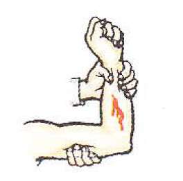 ПДД Онлайн на сайте автошколы «СТАРТ»