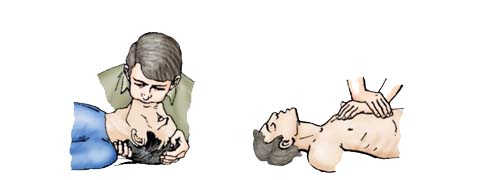 ПДД Онлайн на сайте автошколы «СТАРТ»