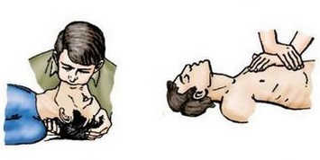 ПДД Онлайн на сайте автошколы «СТАРТ»