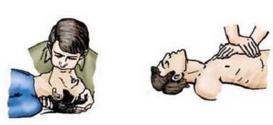 ПДД Онлайн на сайте автошколы «СТАРТ»