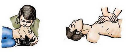 ПДД Онлайн на сайте автошколы «СТАРТ»