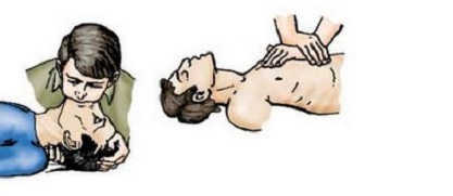 ПДД Онлайн на сайте автошколы «СТАРТ»