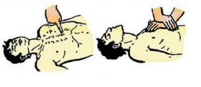 ПДД Онлайн на сайте автошколы «СТАРТ»